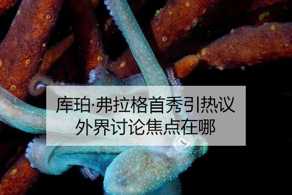 ku-po-fu-la-ge-shou-xiu-yin-re-yi-wai-jie-tao-lun-jiao-dian-zai-na-2-208.jpg